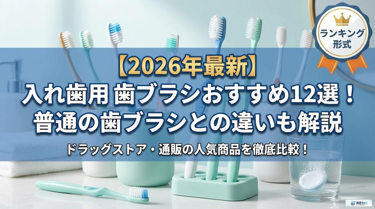【2026年最新】入れ歯用歯ブラシおすすめ12選!普通の歯ブラシとの違いも解説
