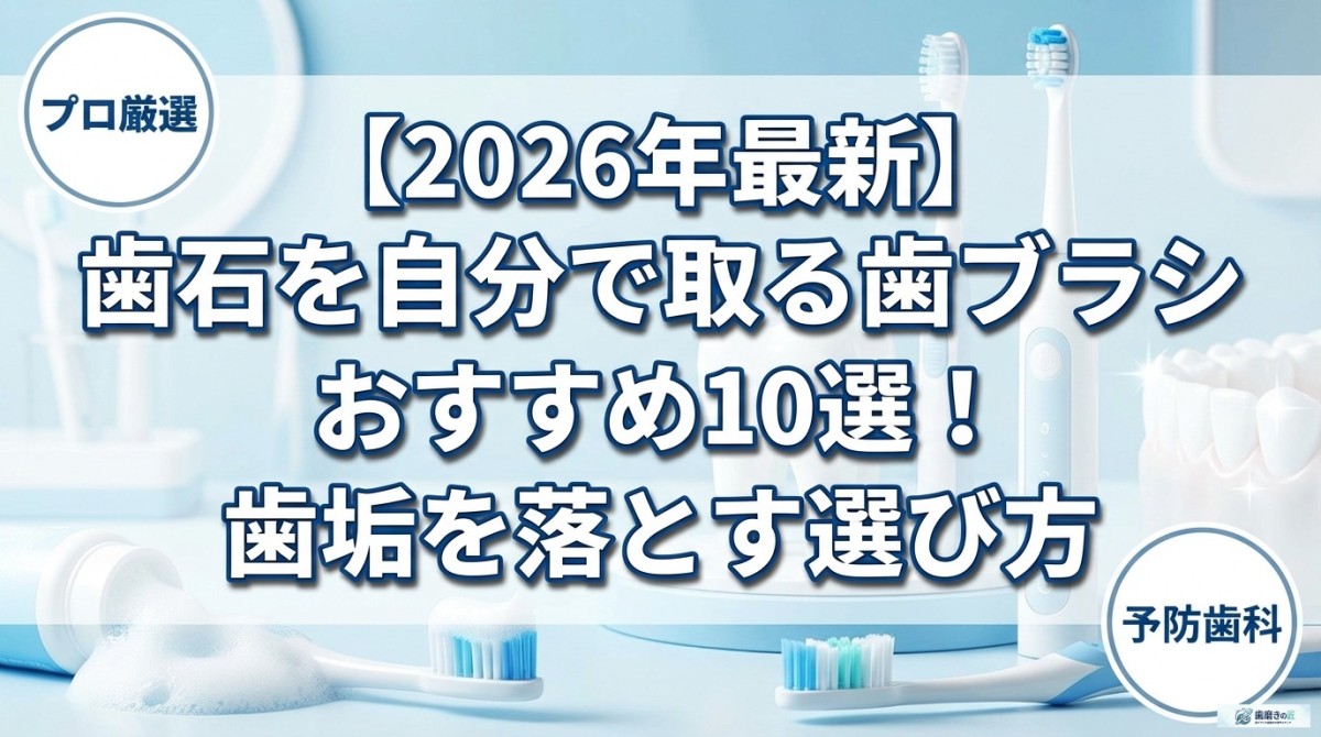 【2026年最新】歯石を自分で取る歯ブラシおすすめ10選!歯垢を落とす選び方