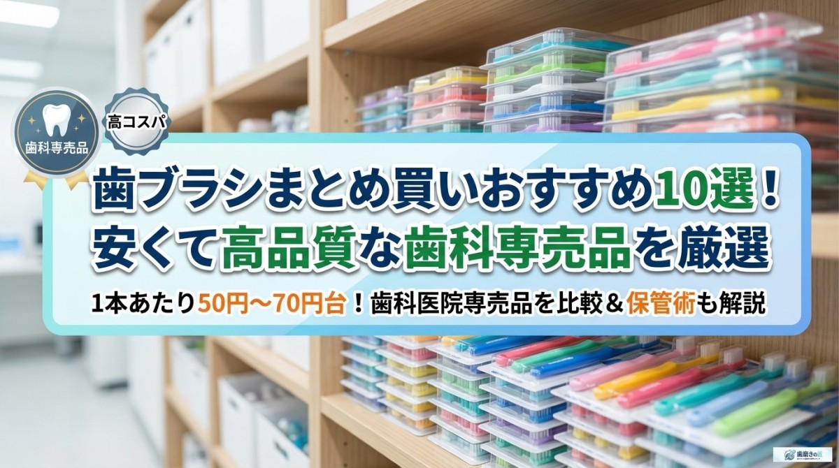 歯ブラシまとめ買いおすすめ10選!安くて高品質な歯科専売品を厳選